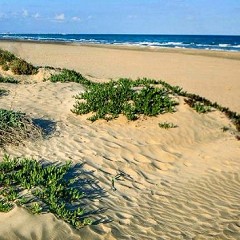 Playa de Canet, Valencia
